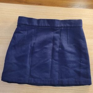 Zara Mini Skirt